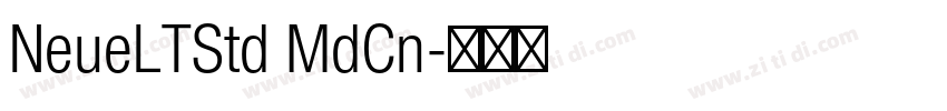 NeueLTStd MdCn字体转换